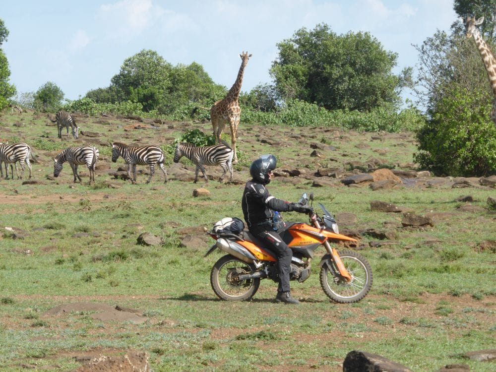 Rider on a KTM motorcycle amid a scenic African savannah with a giraffe and zebras in the background during the Maasai Mara long tour.